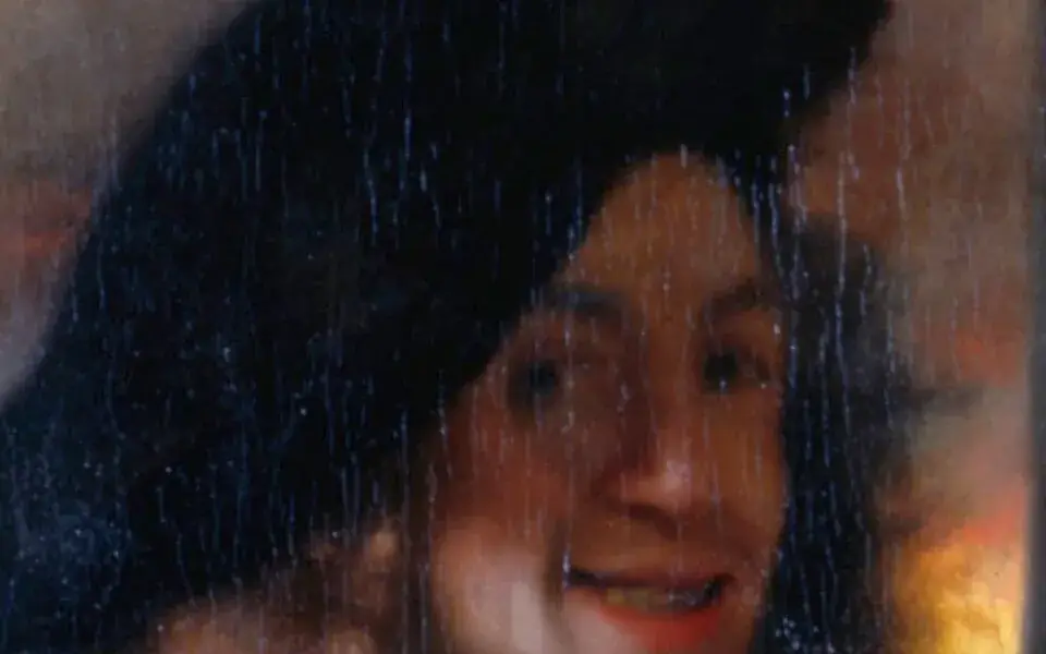 Illustration: Johannes Vermeer