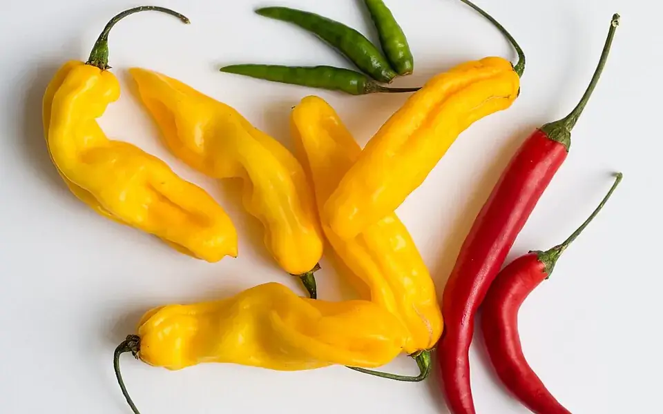 Many spicy Asian dishes use a crop from the Americas