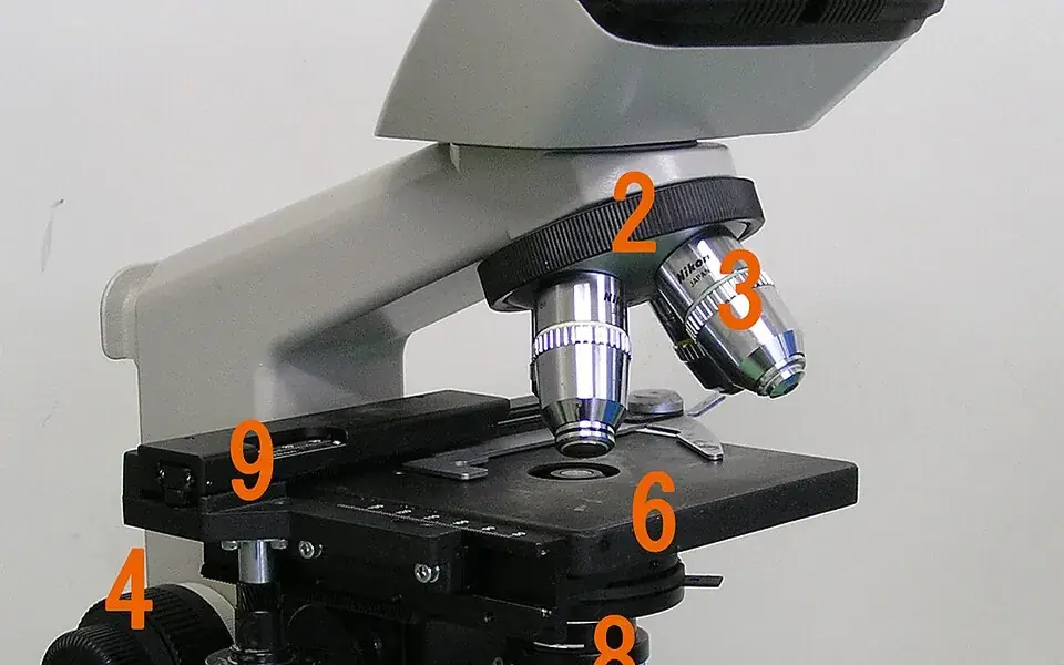Illustration: Microscope