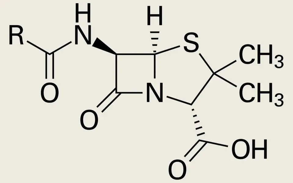 Contamination in a culture dish revealed an antibacterial effect