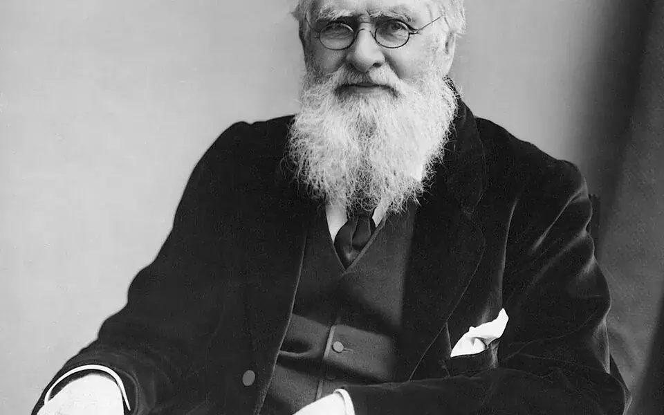 Illustration: Alfred Russel Wallace