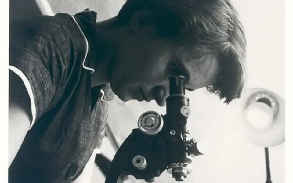 Illustration: Rosalind Franklin