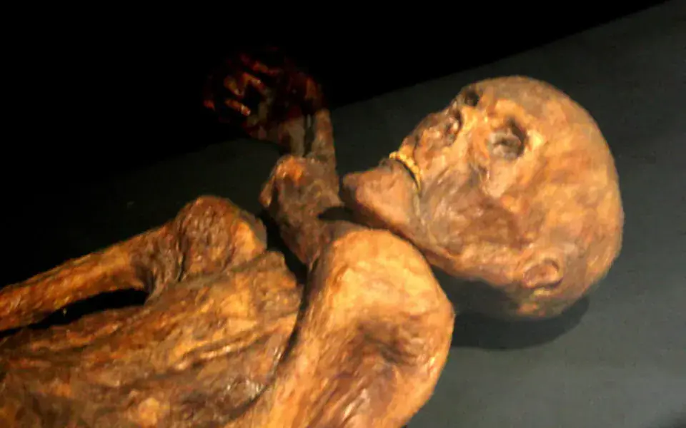 A museum reconstruction of Ötzi’s mummified remains at Quinson, France.