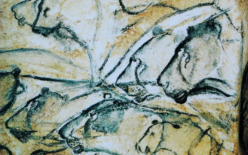 Cave lions and rhinos appeared on walls painted tens of millennia ago