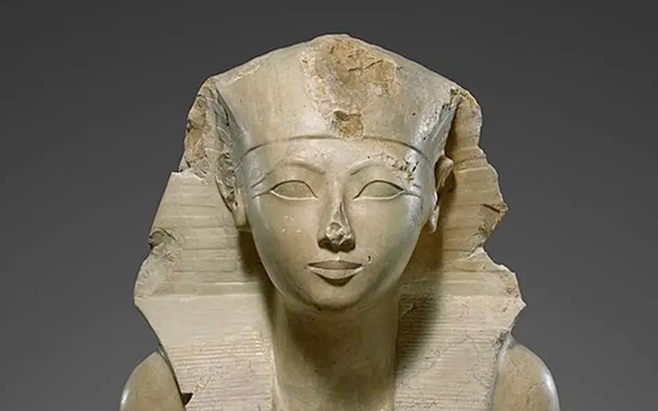 A female pharaoh sent ships to the land of Punt