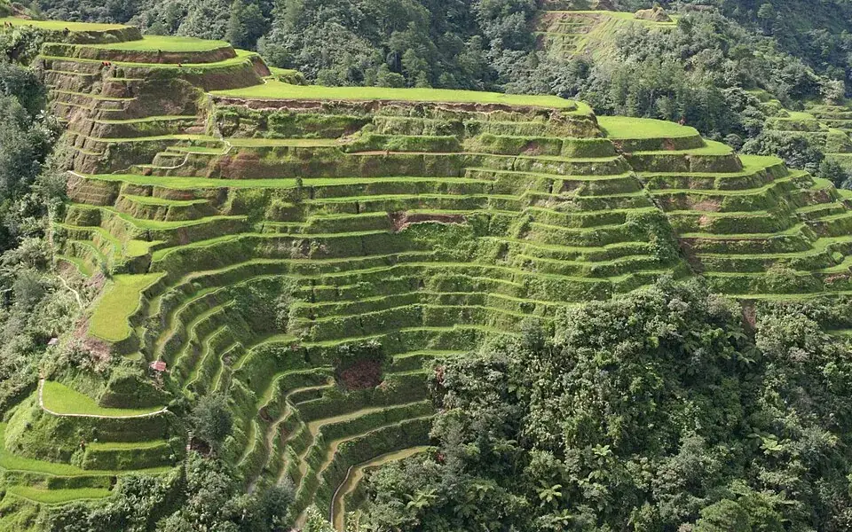 The stepped rice terraces of Banaue